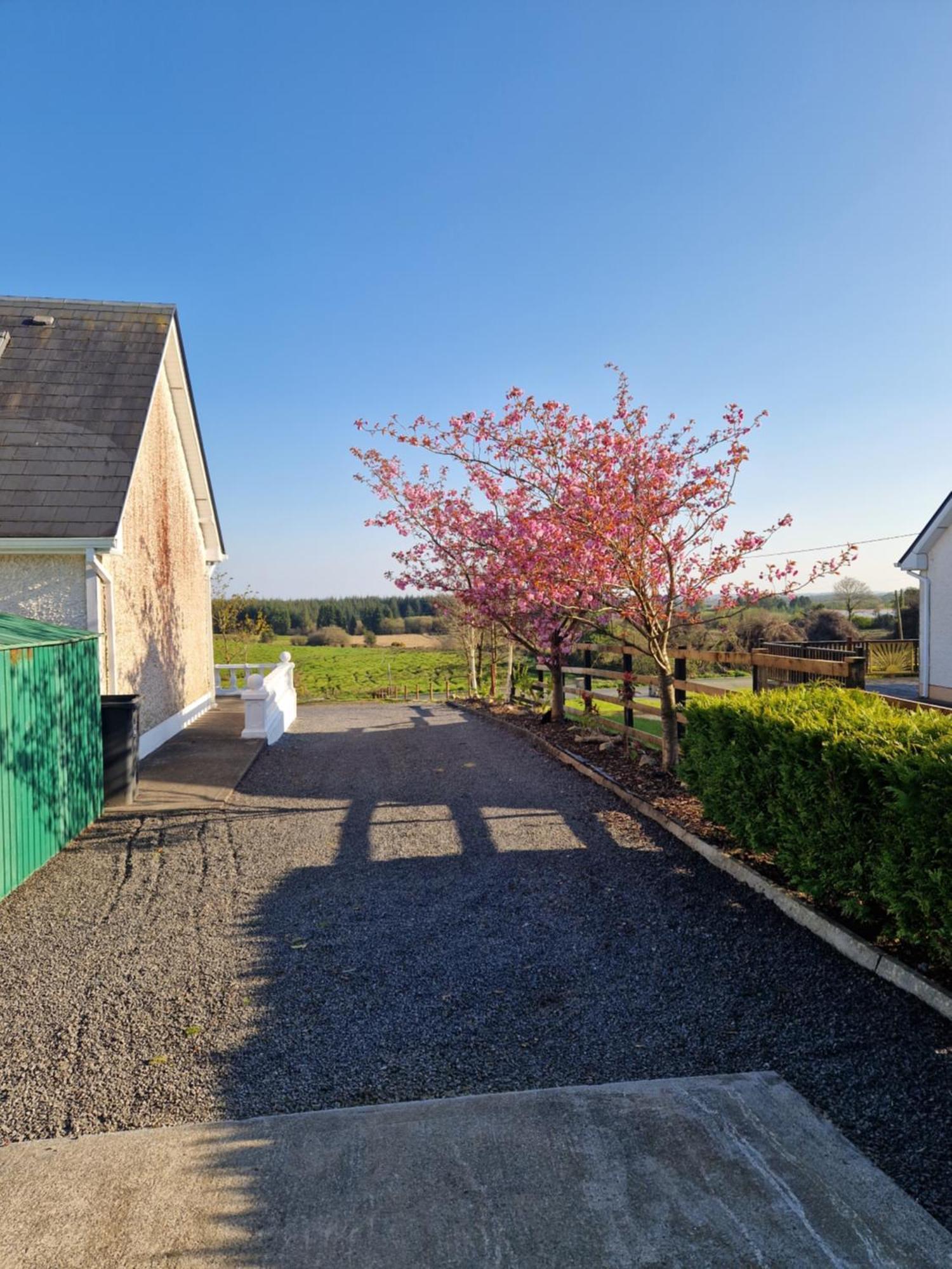 Forest View Dunmore Galway H54P897 Bed & Breakfast Luaran gambar